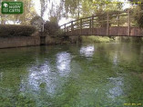 Náhledový obrázek webkamery Whitchurch - River Test 