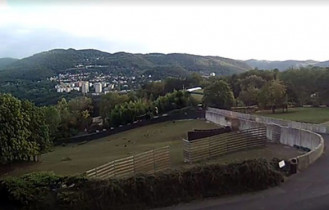 Náhledový obrázek webkamery Ústí nad Labem - ZOO