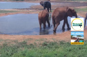 Náhledový obrázek webkamery Národní park Tsavo East - Keňa