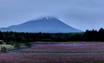 Náhledový obrázek webkamery Yamanashi - hora Fuji