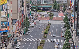 Náhledový obrázek webkamery Tokio - Kabukicho