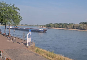 Náhledový obrázek webkamery řeka Rýn - Rees