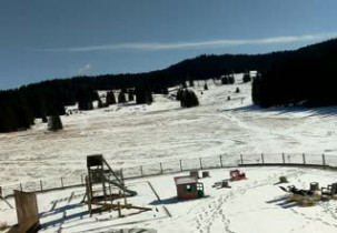 Náhledový obrázek webkamery Lavarone Ski Area v Millegrobbe