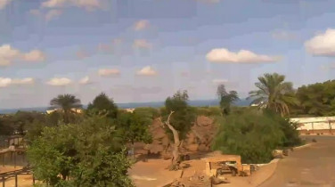 Náhledový obrázek webkamery Zoosafari - Fasano