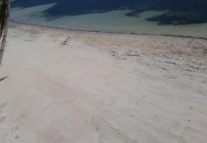 Náhledový obrázek webkamery Pláž Greenyard Bulabog Kite