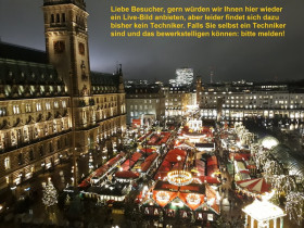 Náhledový obrázek webkamery Hamburg, Radniční náměstí Hamburg Town