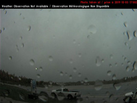 Náhledový obrázek webkamery Elliot - Airport 2