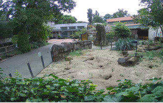 Náhledový obrázek webkamery Záhřeb Zoo